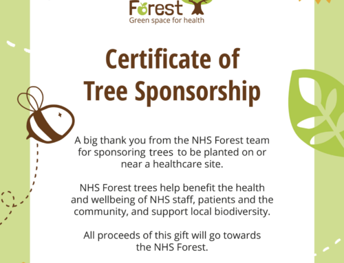 NHS Forest